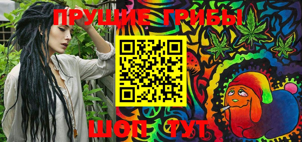 Псилоцибиновые грибы Psilocybine cubensis Тара